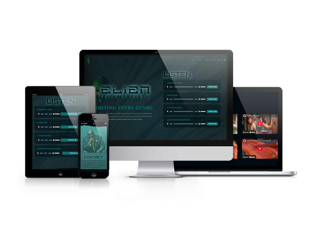 Website Design -